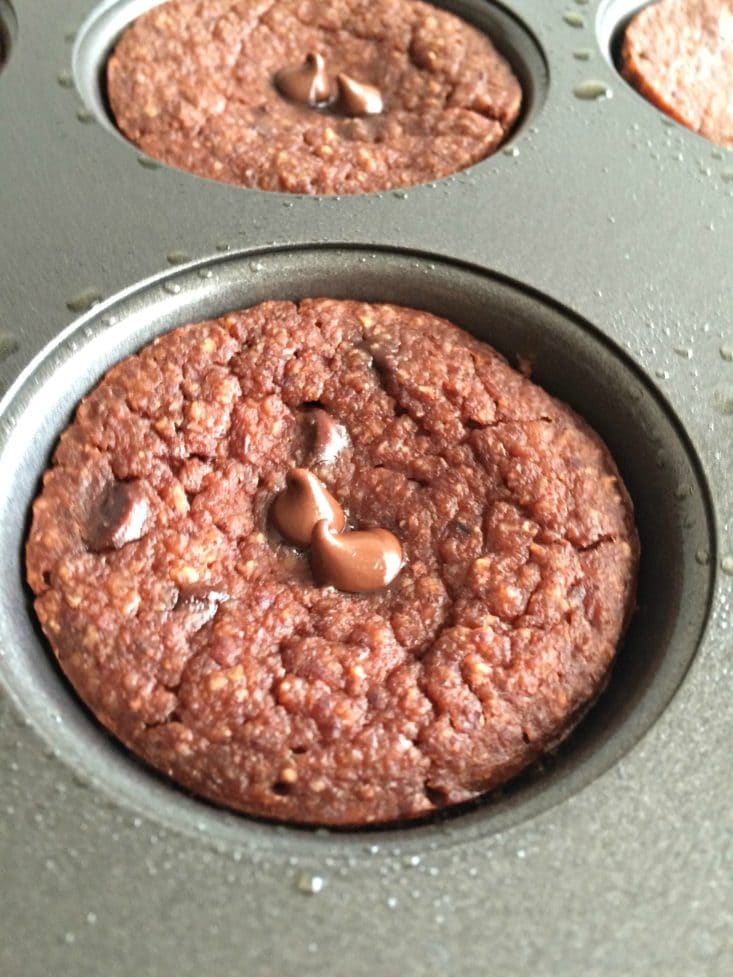 Double Chocolate Chip Greek Muffins Skinny Fitalicious