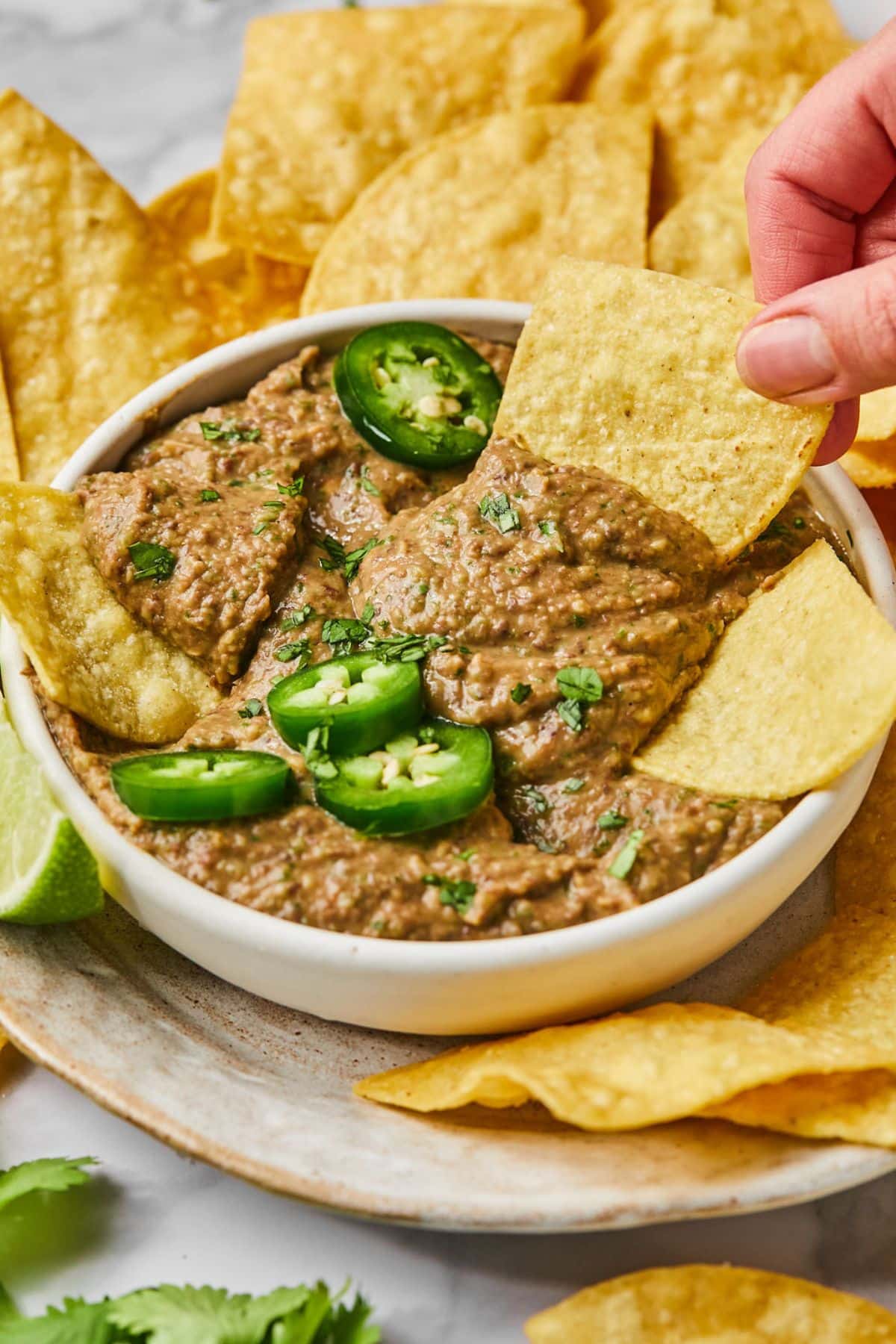 A bowl of spicy black bean dip with a hand reaching into dip some up with a chip.
