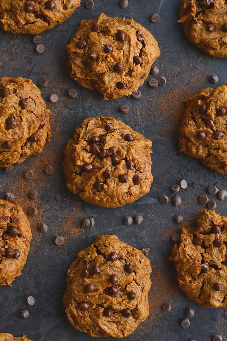 Get your pumpkin & chocolate fix with a creamy, melt-in-your-mouth Pumpkin Peanut Butter Chocolate Chip Cookie. Low Calorie, Paleo, Gluten Free and Vegan!