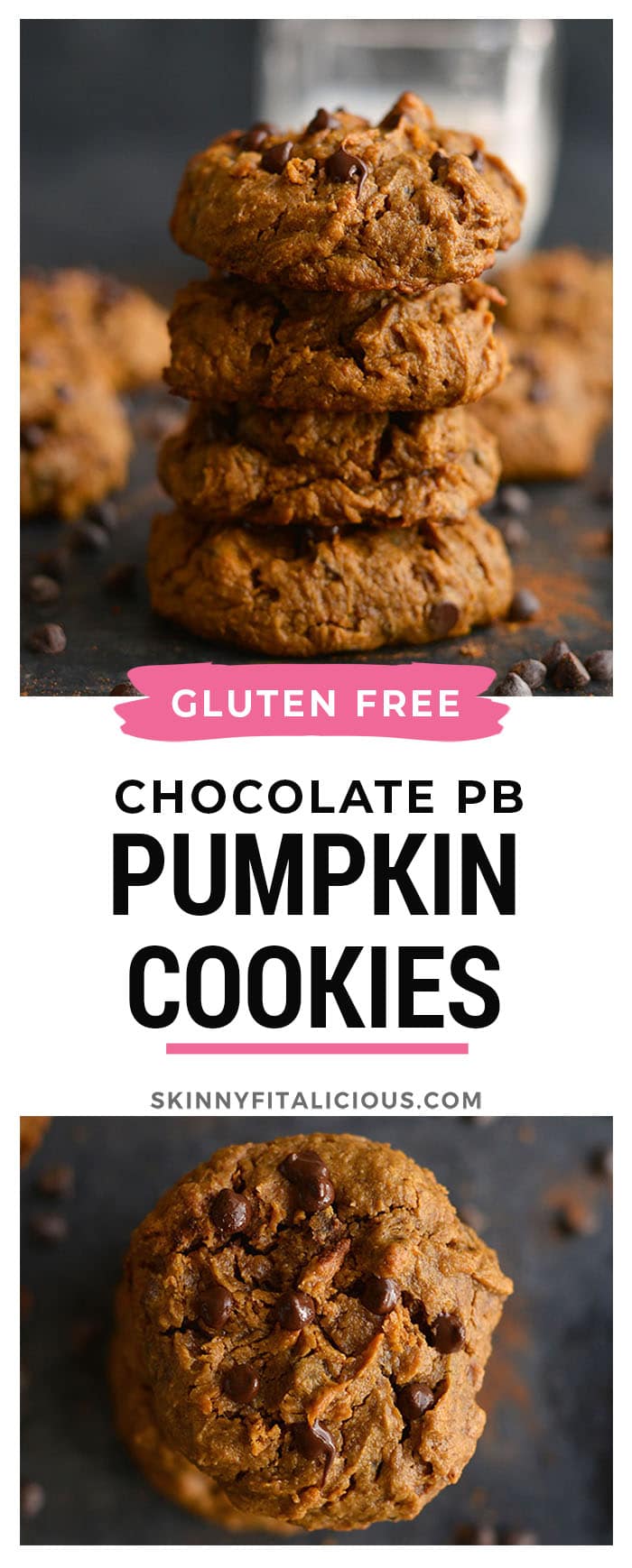 Get your pumpkin and chocolate fix with a creamy, melt-in-your-mouth Healthy Pumpkin Peanut Butter Chocolate Chip Cookies. Low Calorie, Gluten Free and Vegan with a Paleo substitute!