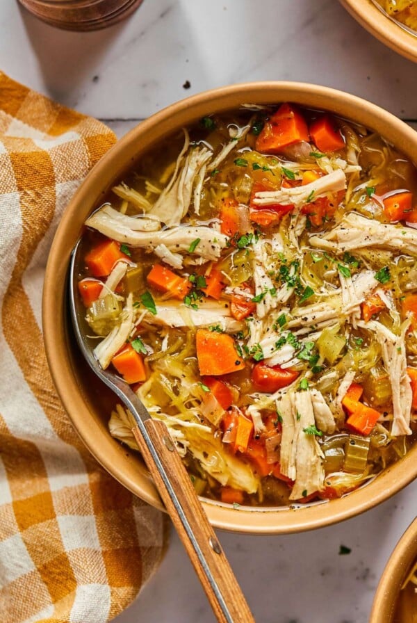 Chicken Noodle-less Soup
