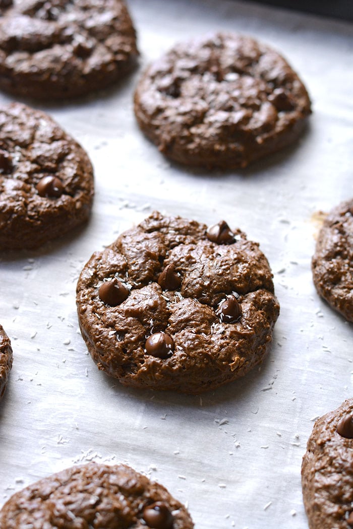 Chocolate Cottage Cheese Cookies are low calorie, rich and fudgy! These mouthwatering cookies are unsuspectingly delicious, gluten free and healthy. A high protein cookie that is balanced in nutrition. Gluten Free + Low Calorie