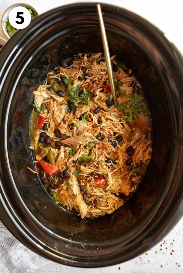 Slow cooker chicken taco bowl meat in a slow cooker after cooking and garnished with cilantro.