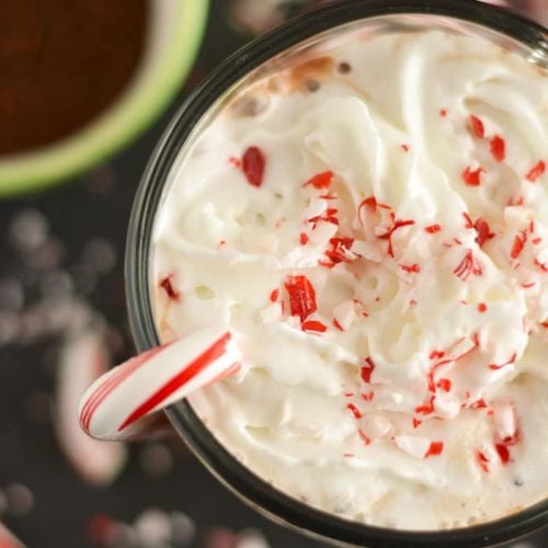 https://skinnyfitalicious.com/wp-content/uploads/2016/12/peppermint-mocha-creamer-img5-500x500.jpg