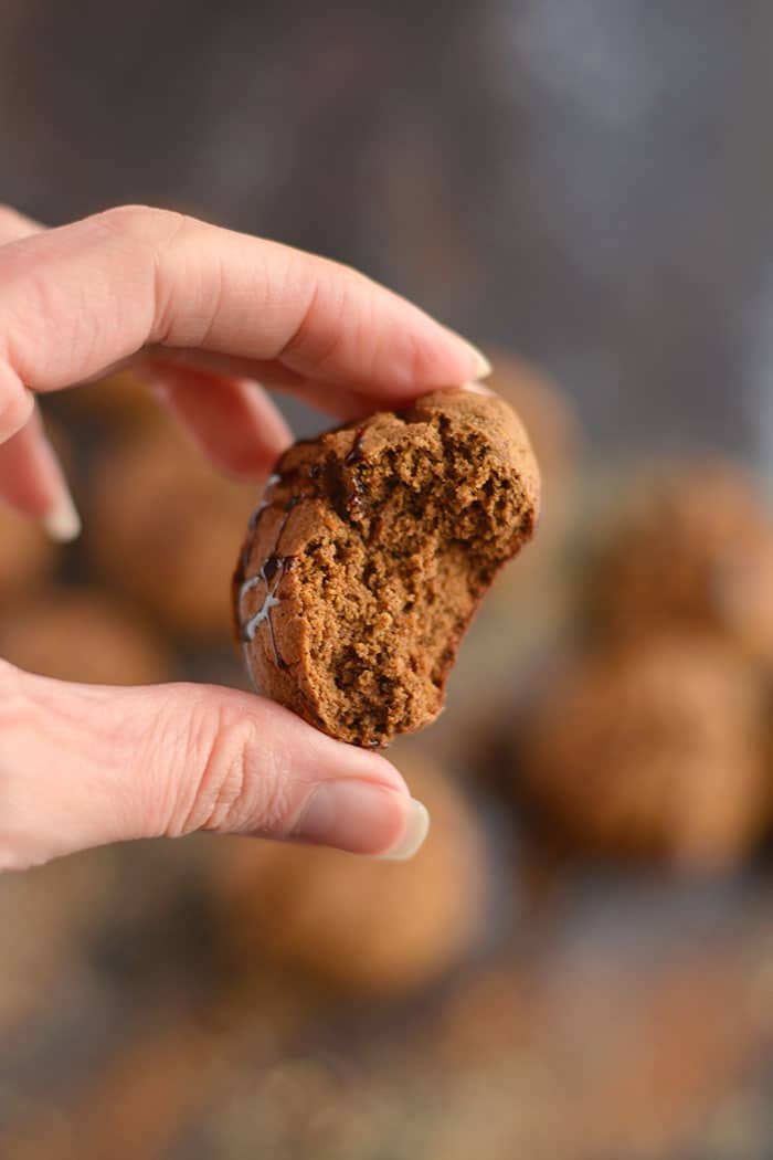 Healthy Protein Gingersnaps only 100 calories! Made low in sugar and big on taste, these doughy cookies are winter baking must haves. Gluten Free + Low Calorie