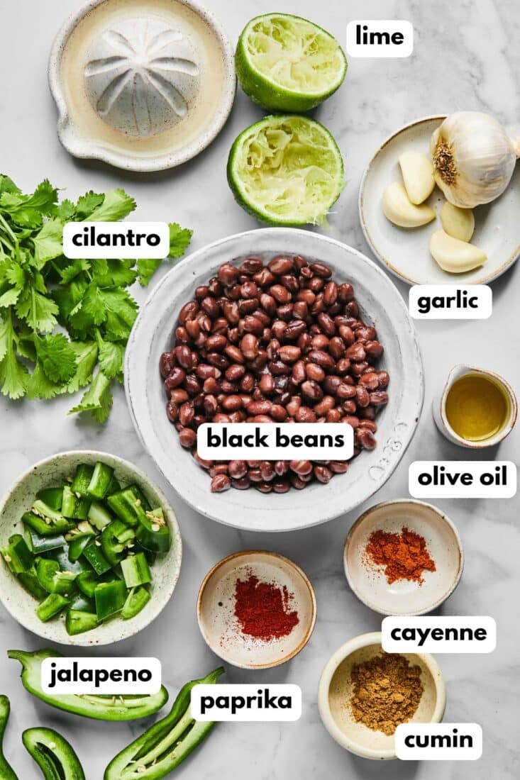 Ingredients to make black bean hummus without tahini on the table with labels identifying each one.