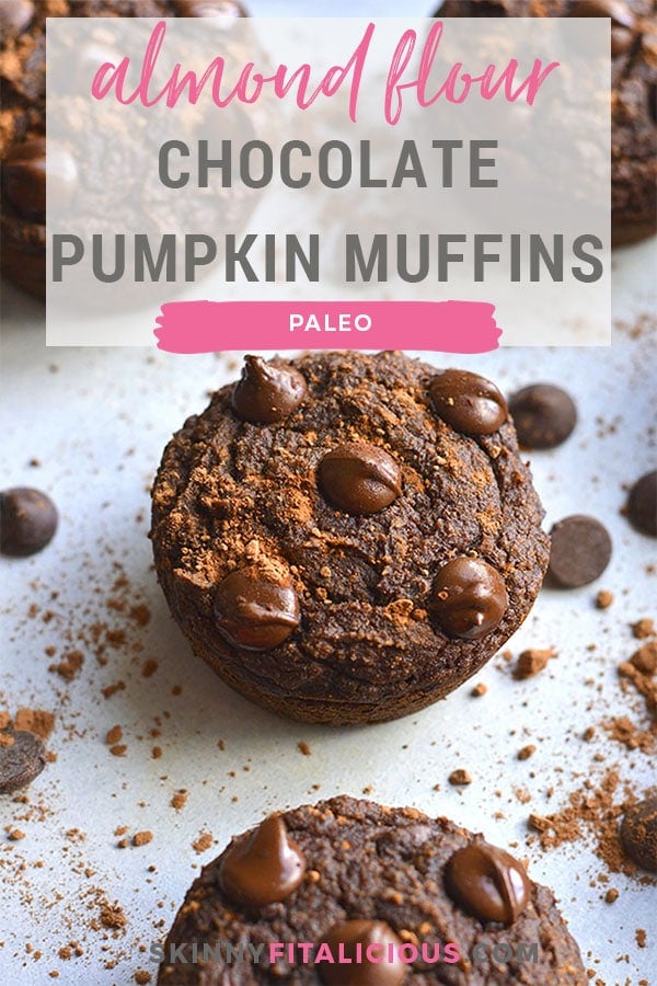 Chocolate Pumpkin Almond Flour Muffins! These muffins are Paleo, dairy-free and lightly sweetened with maple syrup. A great gluten free snack anytime of day! 