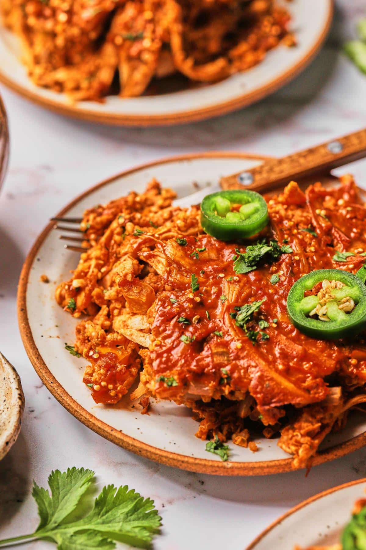 A portion of healthy chicken enchilada casserole served up on a plate.