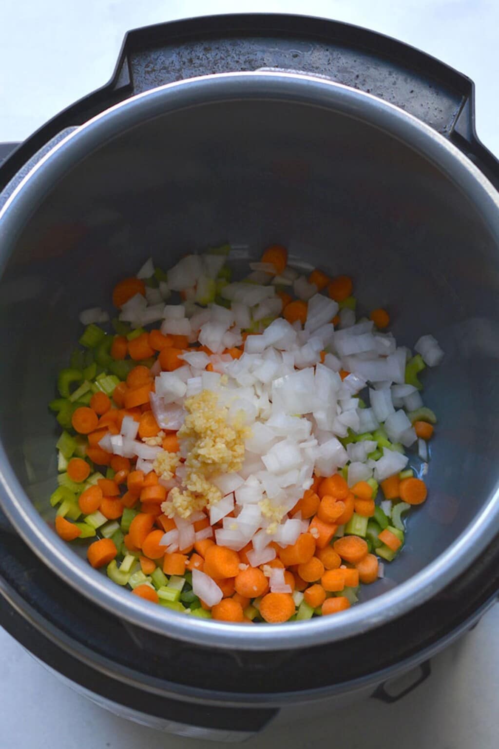 Vegetables added to the Instant Pot.