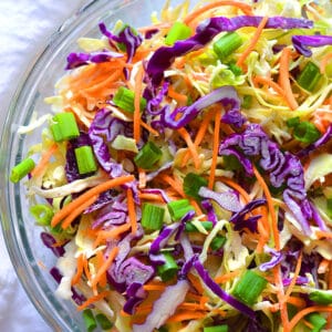 Healthy Low Calorie Coleslaw made with Greek yogurt instead of mayo and no added sugar. This simple, healthy coleslaw recipe is bursting with vegetables and nutrients while being lower in calories and fat.