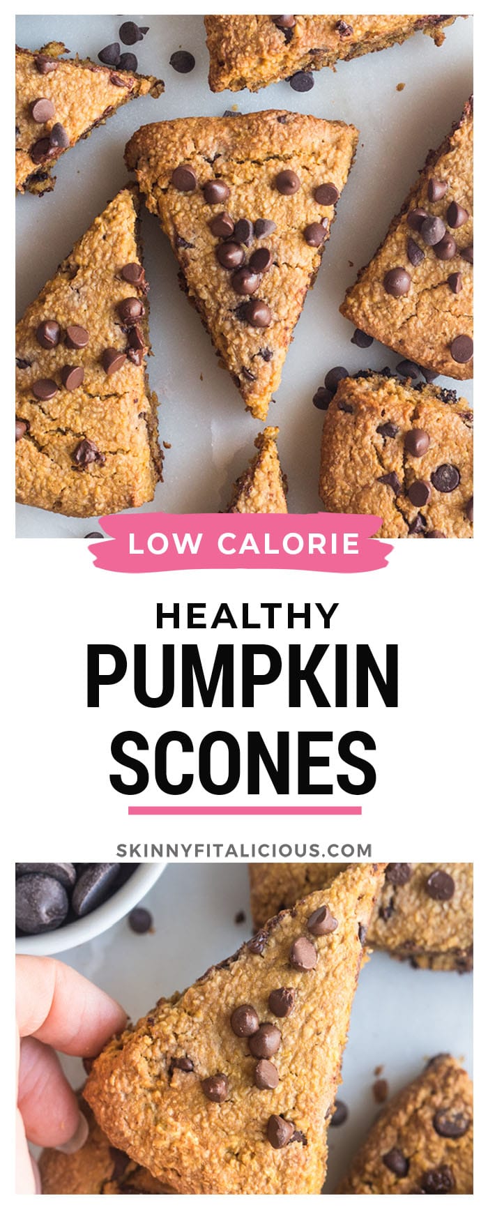 Healthy Pumpkin Scones made low calorie and gluten free with oat flour, minimal added sugar and chocolate chips. 