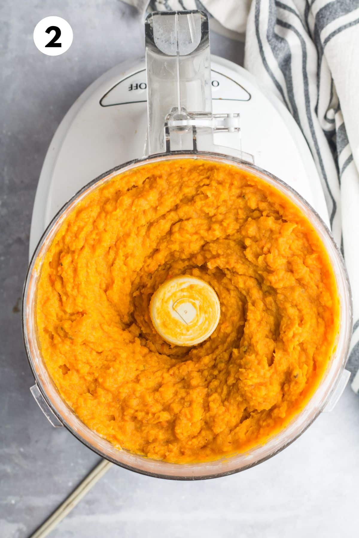 Veggies blended together in a food processor.