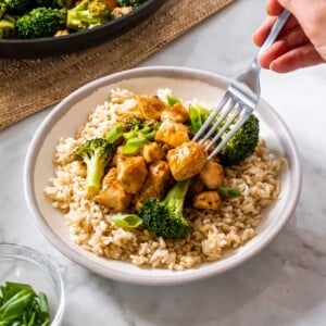 A bowl of chicken and broccoli stir fry on a bed of rice, with a hand and fork poised to scoop up a piece of chicken.