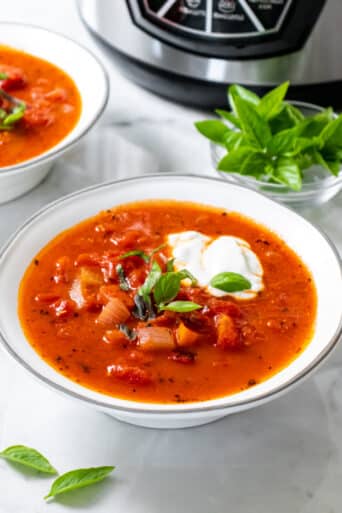 Low Calorie Tomato Soup made creamy with with a burst of protein in the instant pot or slow cooker.