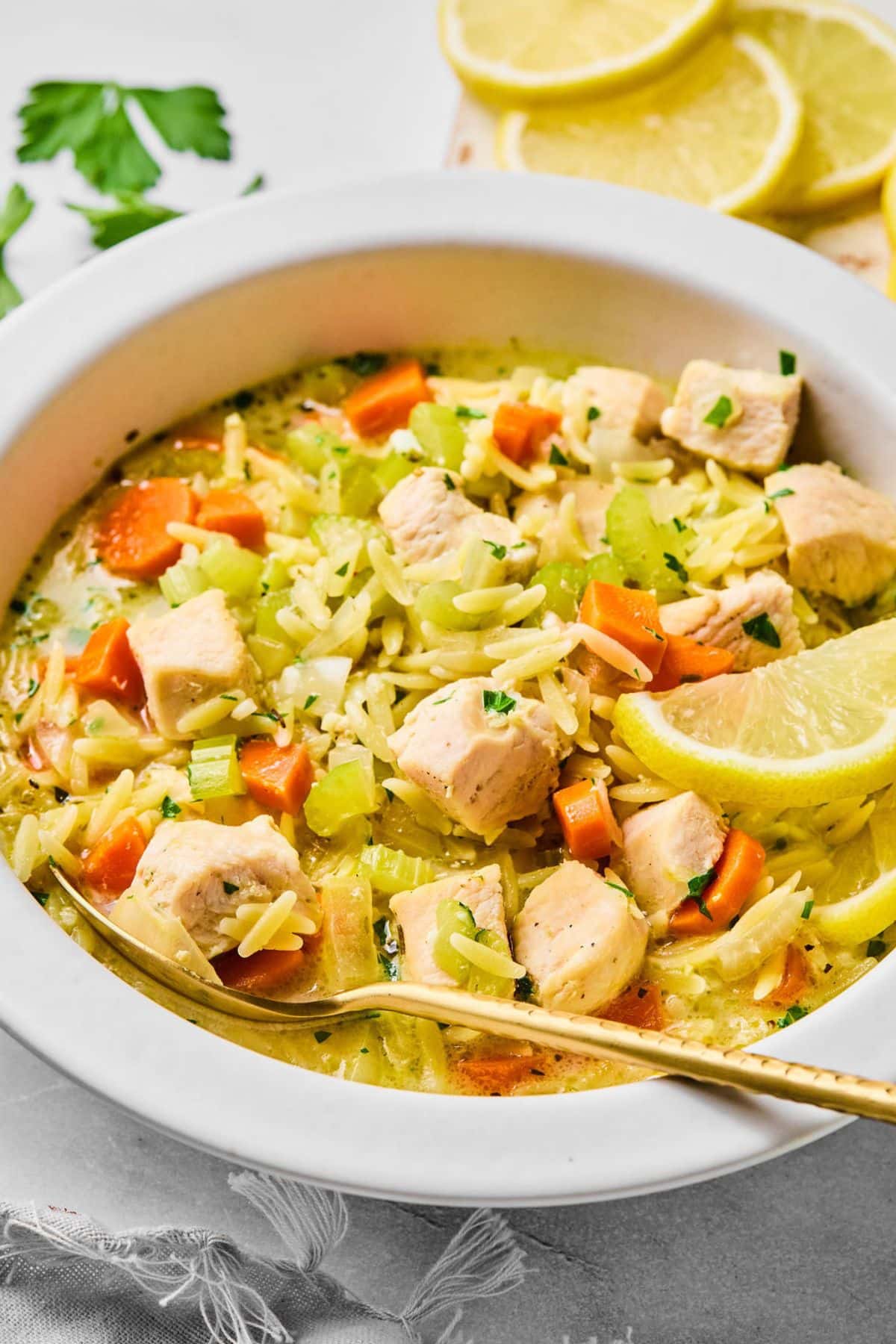 A bowl of chicken orzo soup.