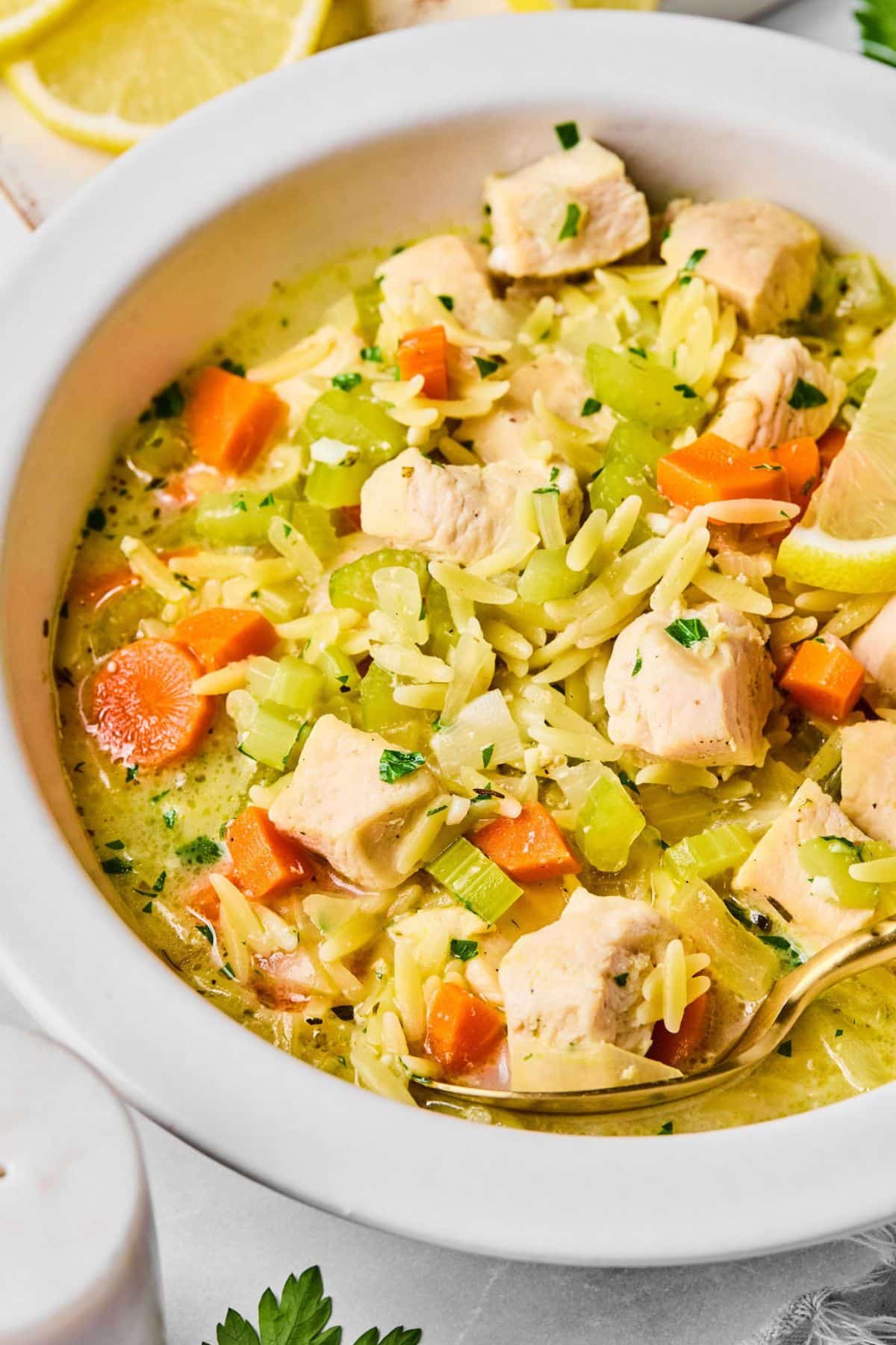 A bowl of chicken orzo soup.