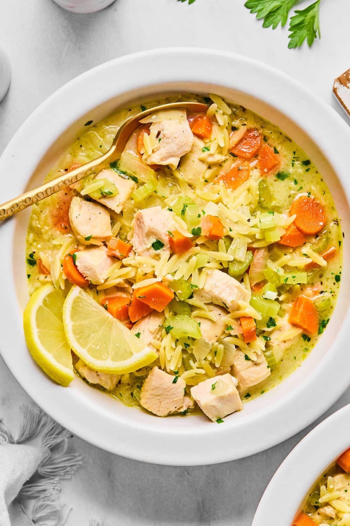 A bowl of chicken orzo soup.