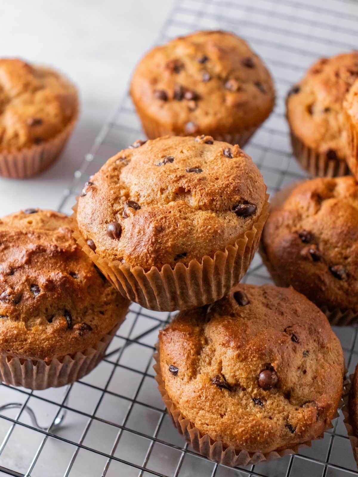 Chocolate chip protein muffins stacked up on a wire cooling rack.